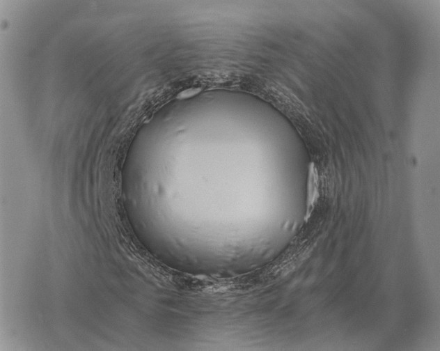 X0000072980961200608111737