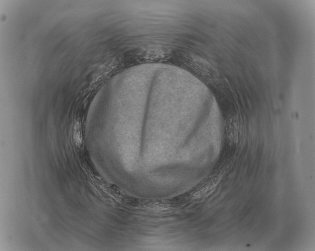 X0000072980962200608111737