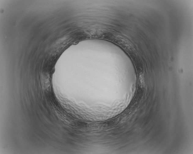 X0000072980963200608111737