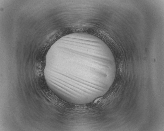 X0000072980964200608111737