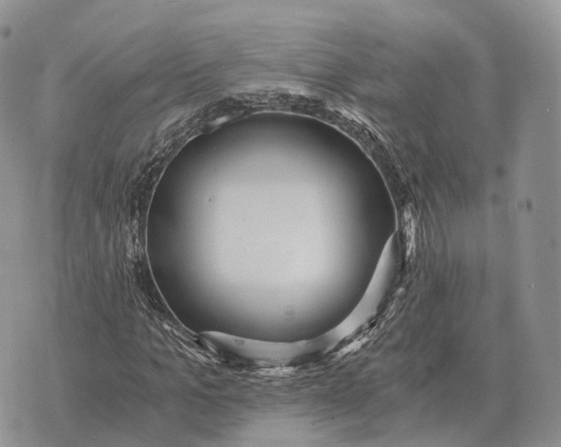 X0000072980965200608111737