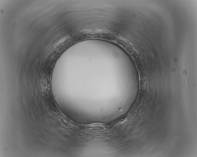 X0000072980966200608111737