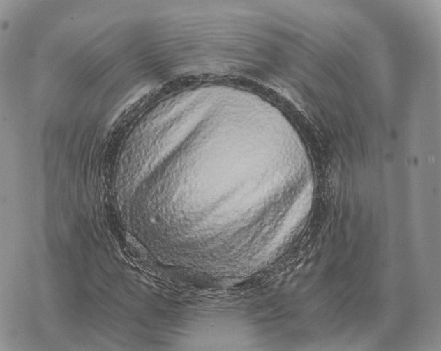 X0000072980967200608111737