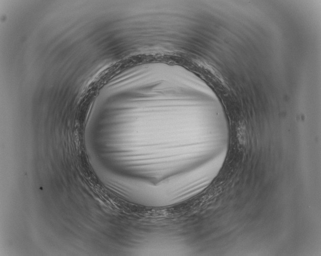 X0000072980968200608111737