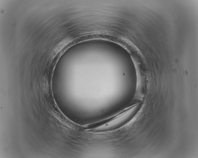 X0000072980969200608111737