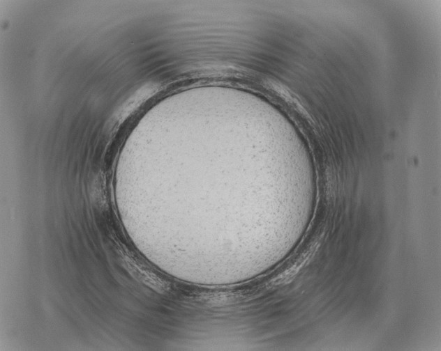 X0000072980970200608111737