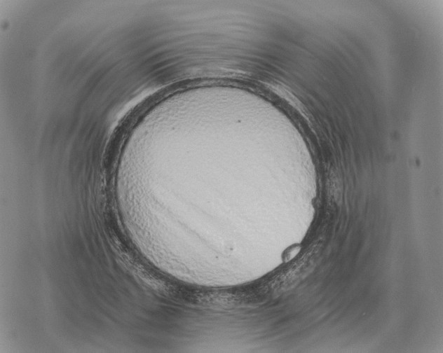 X0000072980971200608111737