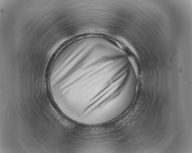 X0000072980972200608111737