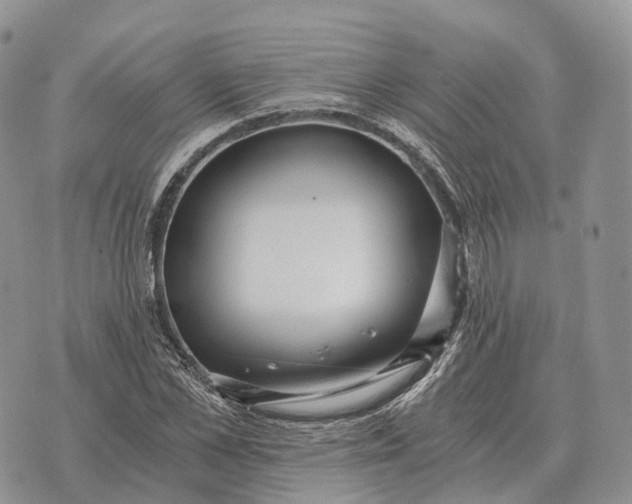 X0000072980973200608111737