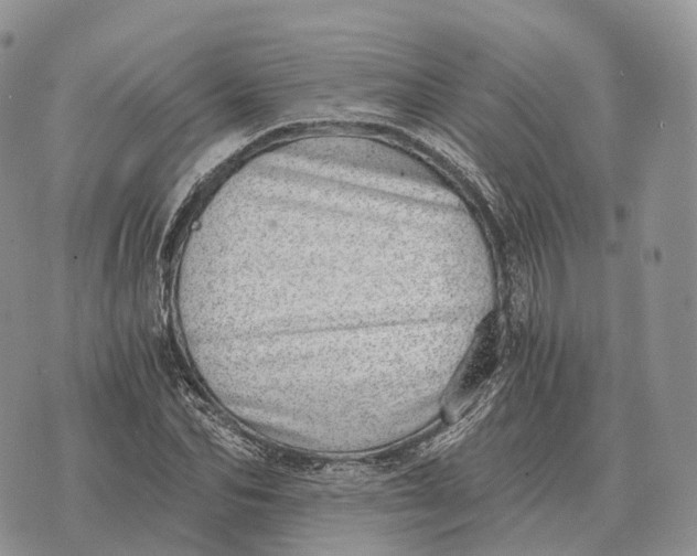 X0000072980974200608111737