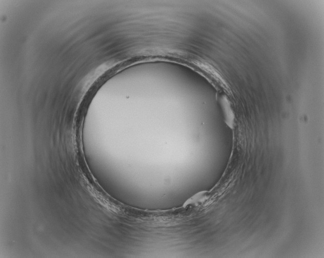 X0000072980976200608111737