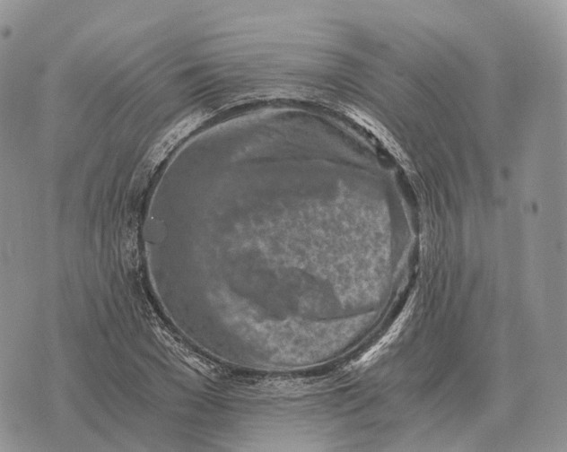 X0000072980977200608111737