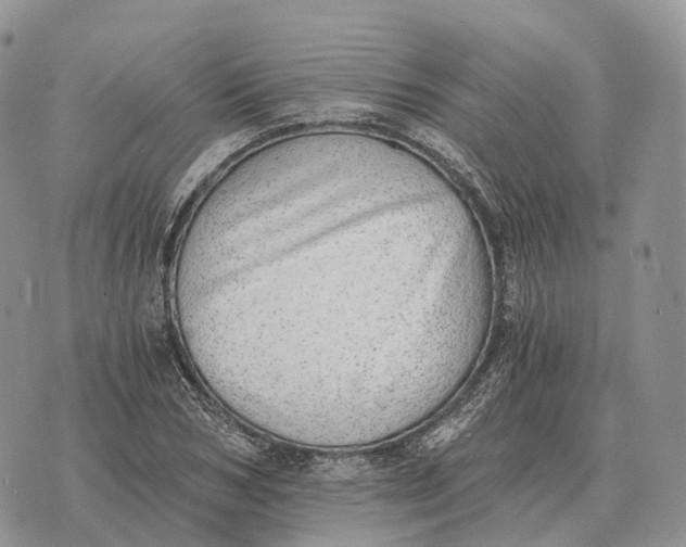 X0000072980978200608111737