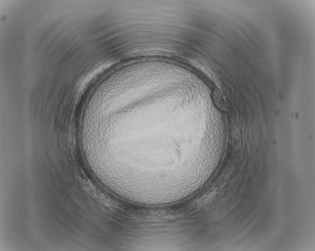 X0000072980979200608111737