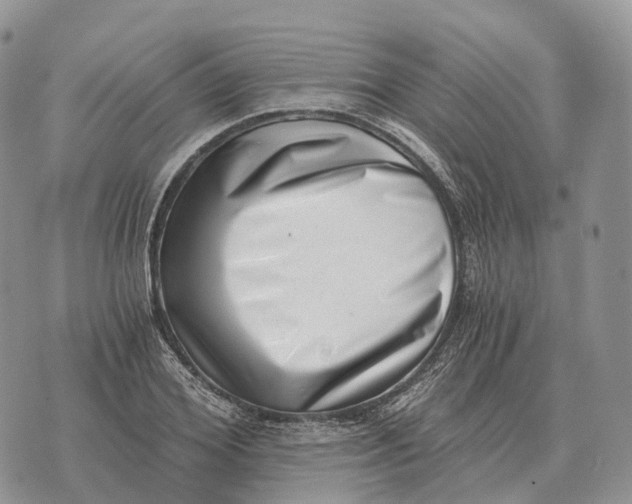 X0000072980980200608111737