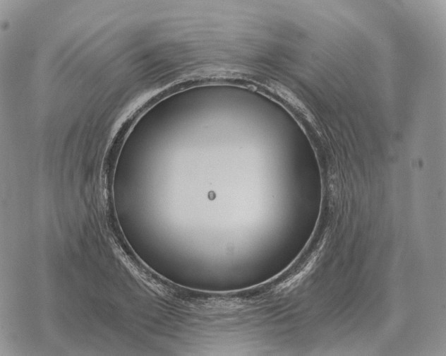 X0000072980981200608111737