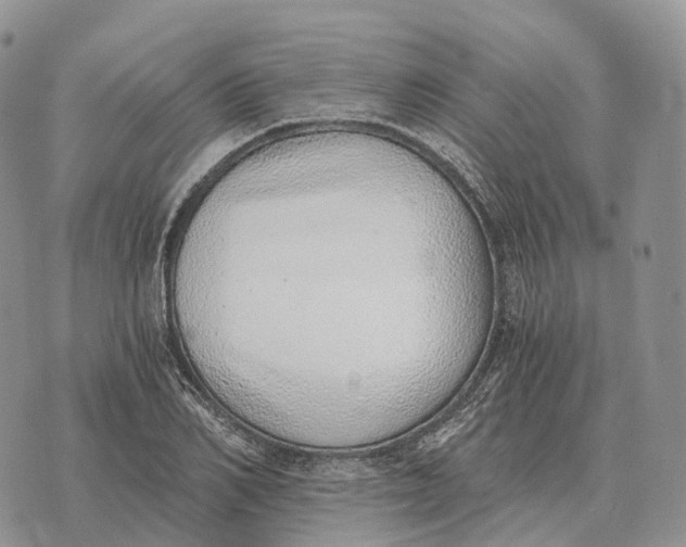 X0000072980982200608111737