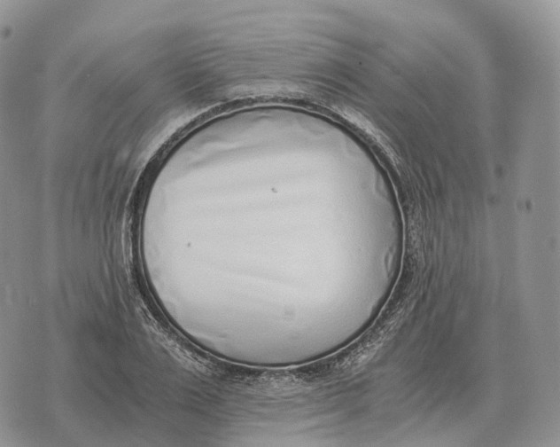 X0000072980983200608111737