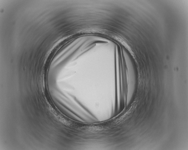 X0000072980984200608111737