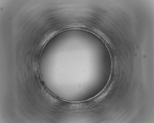 X0000072980985200608111737