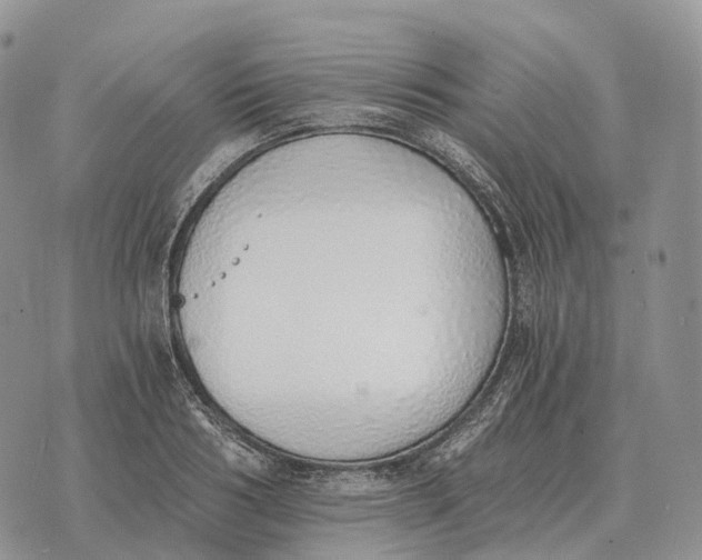 X0000072980986200608111737