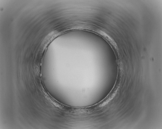 X0000072980993200608111737