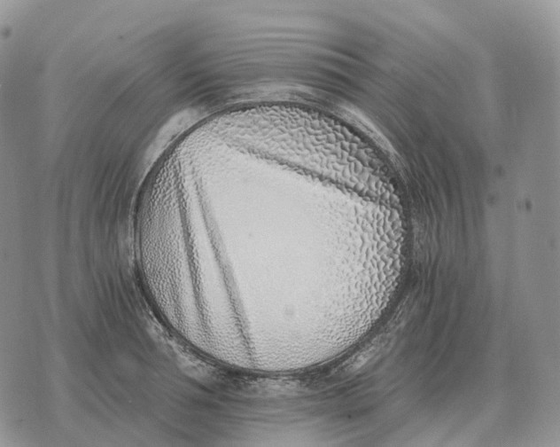 X0000072980994200608111737