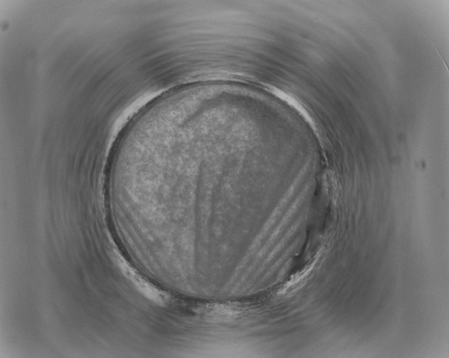 X0000072980995200608111737