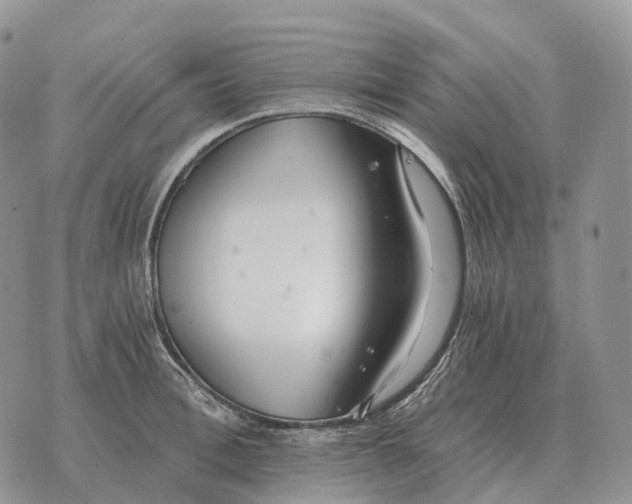 X0000072980996200608111737