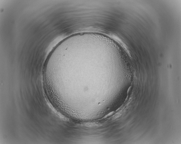 X0000072980998200608111737