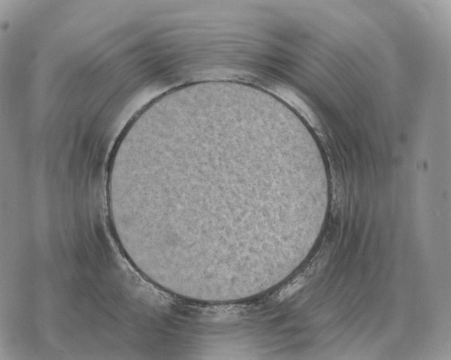 X0000072981000200608111737