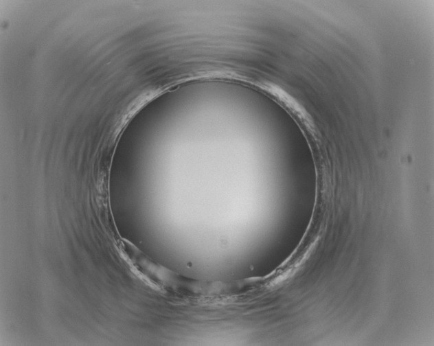 X0000072981001200608111737