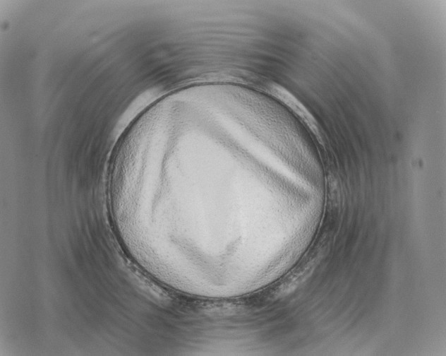 X0000072981002200608111737