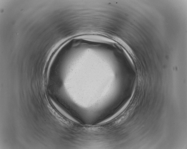 X0000072981004200608111737