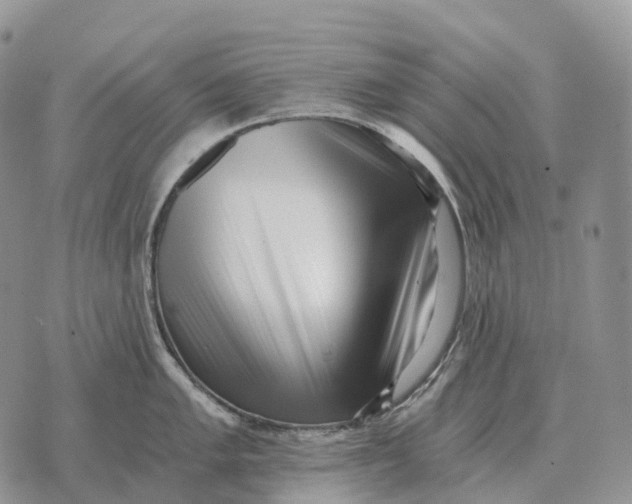 X0000072981005200608111737