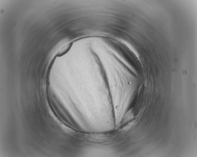 X0000072981007200608111736