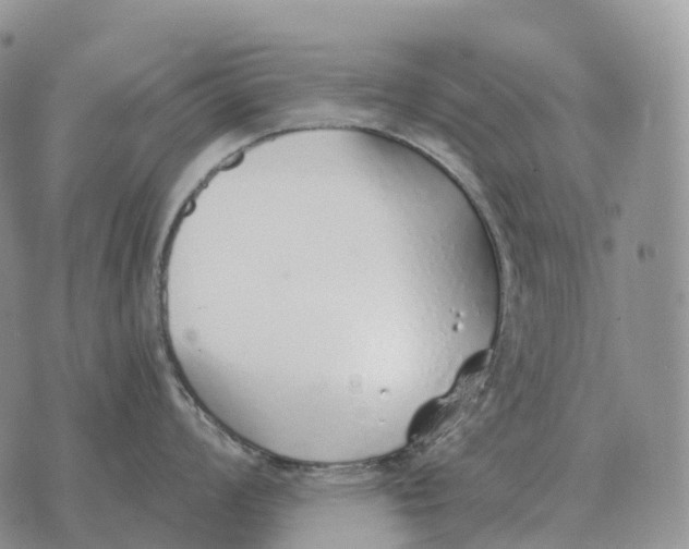 X0000072981008200608111736