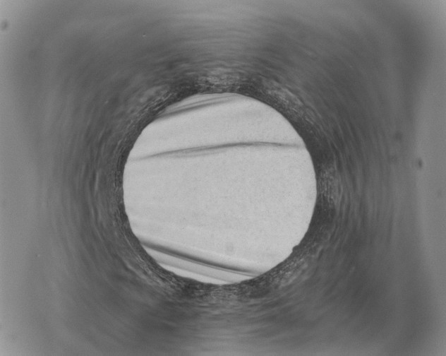 X0000072981009200608111736