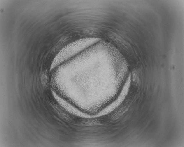 X0000072981011200608111736