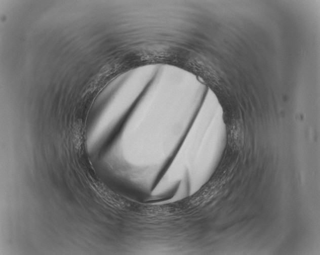 X0000072981012200608111736