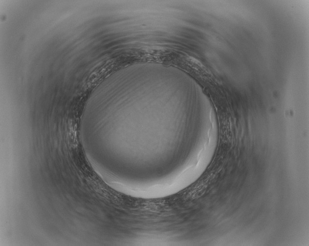 X0000072981013200608111736