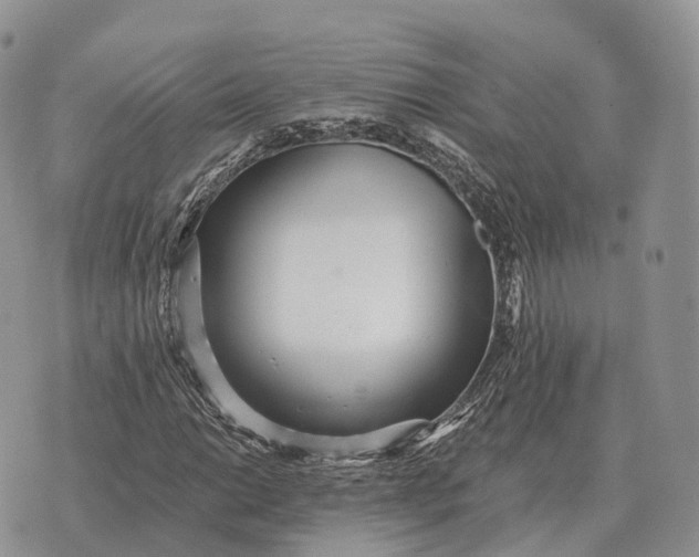 X0000072981014200608111736