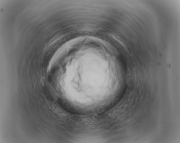 X0000072981015200608111736