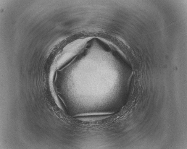 X0000072981016200608111736