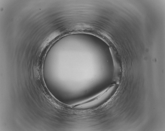 X0000072981018200608111736