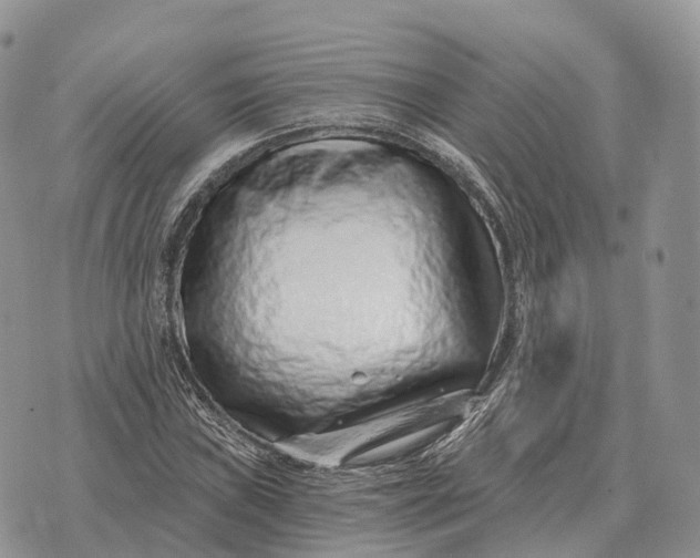 X0000072981019200608111736