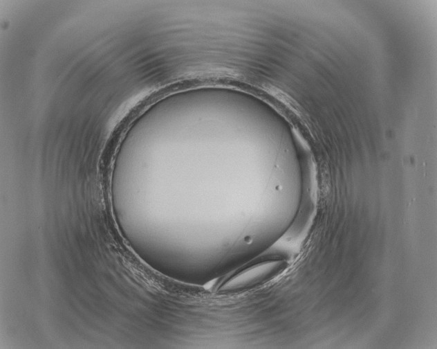 X0000072981022200608111736