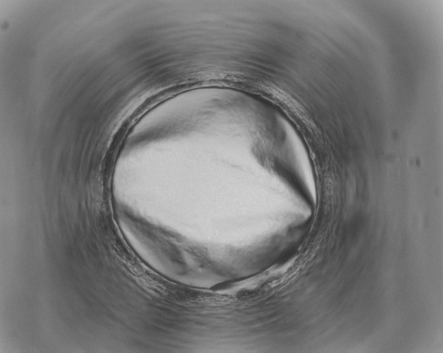 X0000072981023200608111736