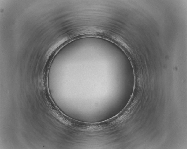 X0000072981026200608111736