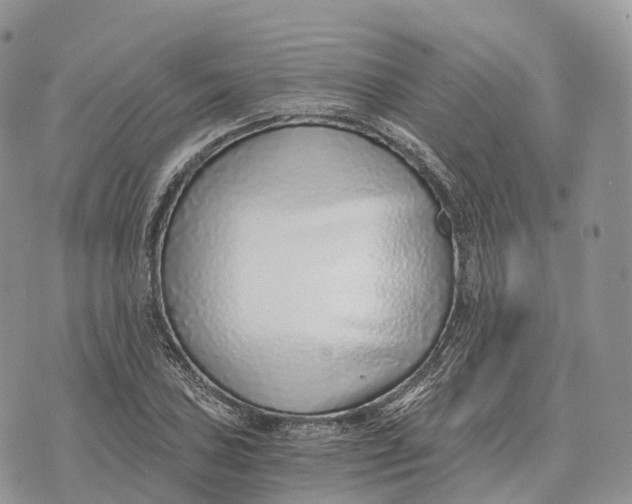 X0000072981027200608111736